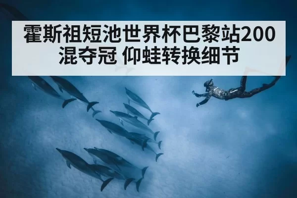 霍斯祖短池世界杯巴黎站200混夺冠 仰蛙转换细节